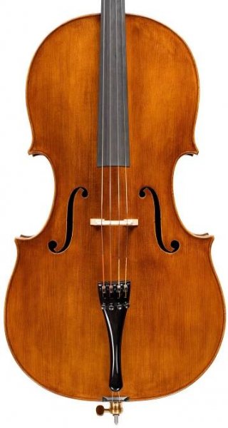 Cello by Stefano Marzi, 2025 Montagnana