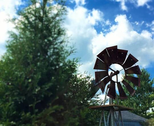 ABOUT US - Wild Juniper Farms