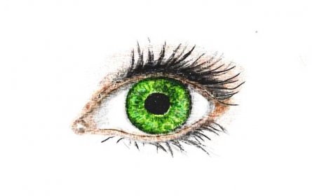 Ako vznikalo zelené oko - Ľubica Veselá