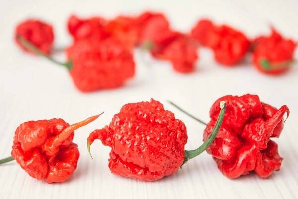Muž na soutěži snědl nejpálivější chili papričku. Skončil v nemocnici s obrovskými bolestmi
