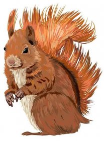 Barevný kreslený portrét veverky z vaší fotografie