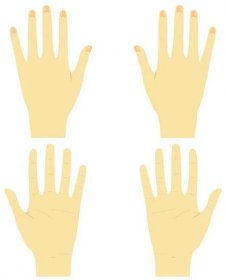 ruce vpředu a vzadu vpravo a vlevo - hřbet ruky stock ilustrace