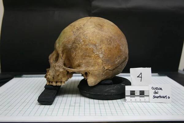 Antropologie opravuje historii. Ani kosti Karla IV. neunikly zvědavým očím vědy