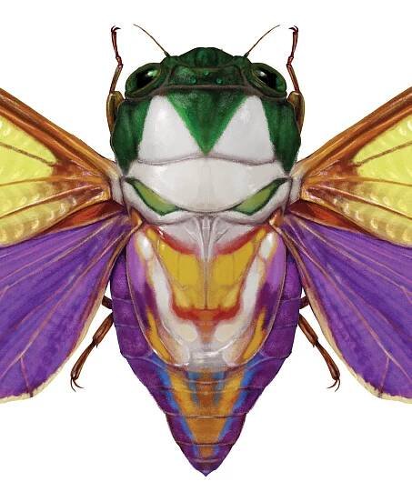 joker_prints_animated.jpg
