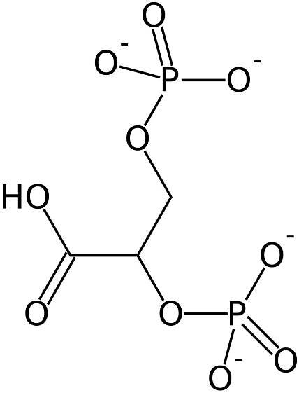 Bisfosfoglycerát