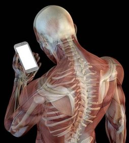 anatomie člověka ukazující špatné držení těla při používání telefonu - krk část těla - stock snímky, obrázky a fotky