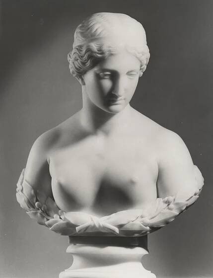 Soubor:Daphne by David Finn.jpg – Wikipedie