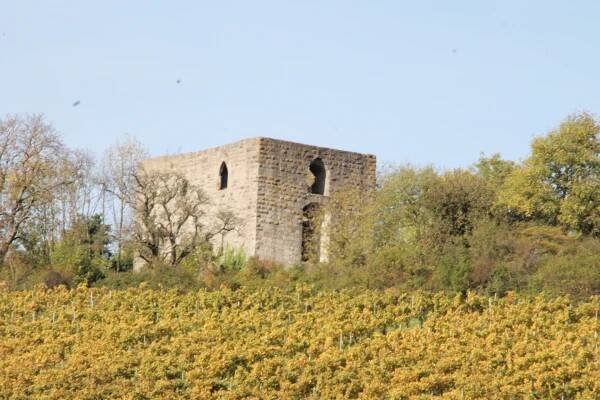 Ruine Helfenberg, Annasee und Burg Wildeck – Schwäbischer Albverein Freiberg