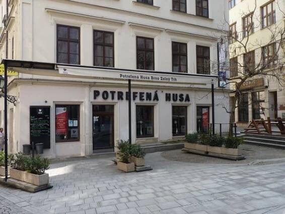 Potrefená Husa Zelný trh foto 4