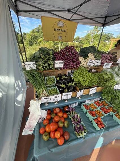 Market Vendors — Hub City Roots