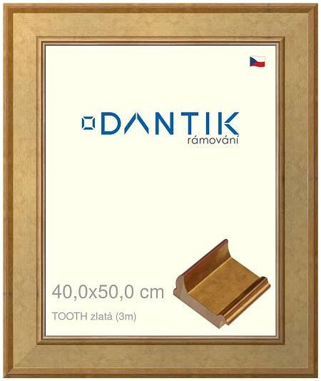 DANTIK rámeček na obraz 40x50