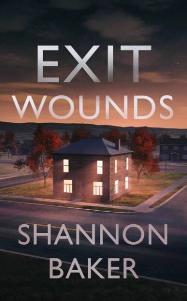Kate Fox Mysteries | Shannon Baker