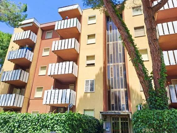 Prodej bytu 2+kk v osobním vlastnictví 34 m², Silvi | Reality RE/MAX
