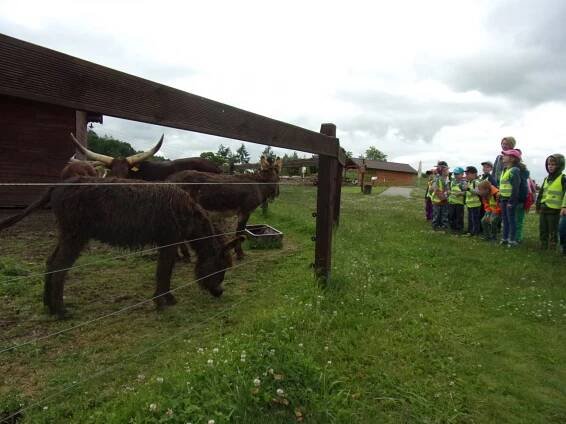 Třídní výlet- FARMA SOBĚHRDY-třída ČMELÁČCI - Oficiální stránky MŠ Včelička, Škvorec