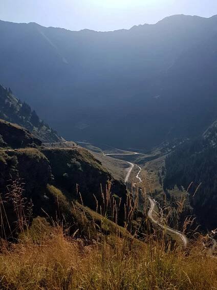Fagaraš a modlící medvědi - Články | Divoký sever