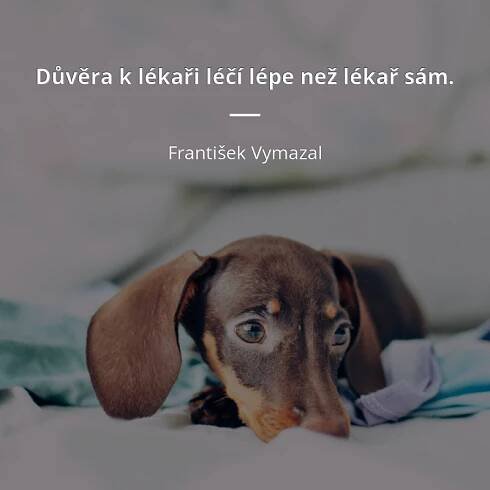 František Vymazal citát: „Důvěra k lékaři léčí lépe než lékař sám.“