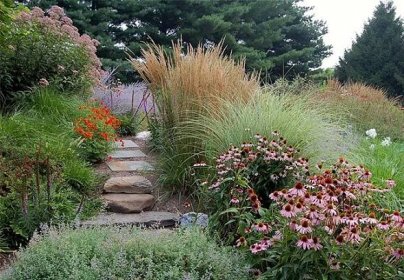 Zdobení zahrady okrasnými bylinkami: 45 barevných nápadů 