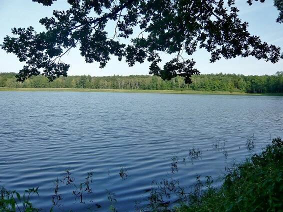 rybník Černý Nadýmač