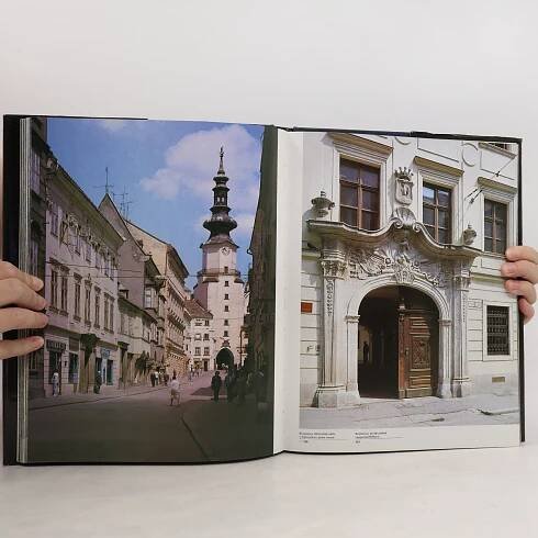 Slovensko moje - Miro Gregor, Pavel Koyš - knihobot.sk