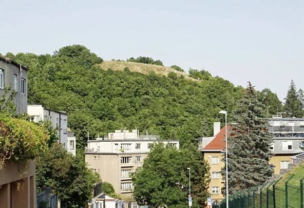 Na Pavím vrchu - 2 paví vrch