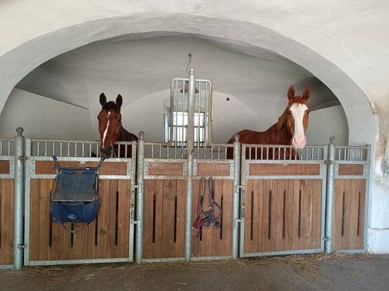 Ustájení Benešov - Mariánovice. | Jezdecká inzerce - snadno a rychle | www.jezdeckainzerce.cz