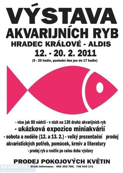 Blog - AKVARISTA.cz