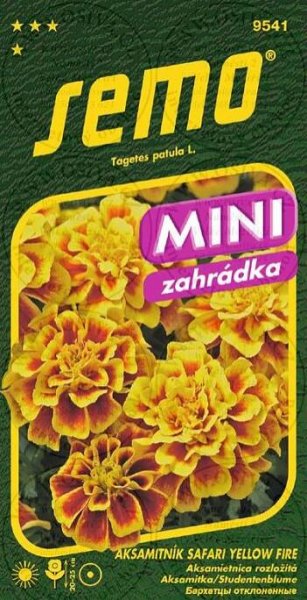 SEMO Aksamitník Safari Yellow Fire 30 ks od 33 Kč