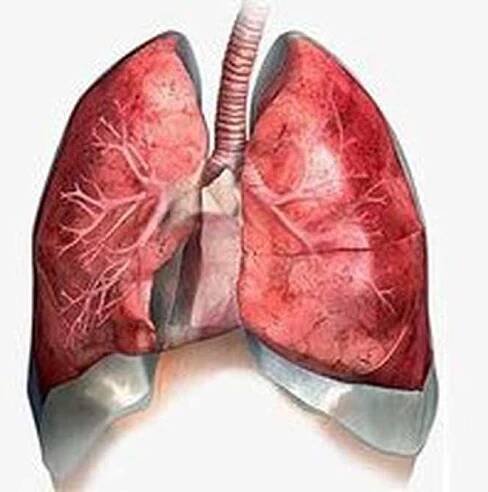 Pneumoskleróza plic / Pneumoskleróza | Užitečné informace a tipy na péči o sebe. Zdraví, výživa a další.