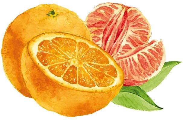teinacher-frucht-orange-mandarine-produktdetailseite