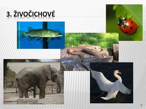 PPT - Živá A NEŽIVÁ příroda PowerPoint Presentation, free download - ID:6953382