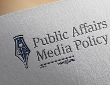 Public Affairs and Media Policy
