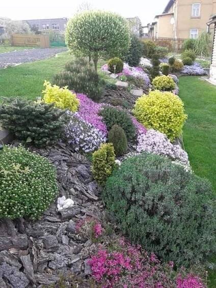 Colorful Front Yard Garden with Flowers and Plants