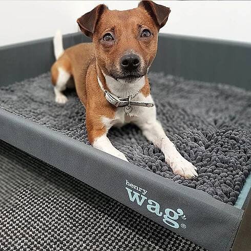 Henry Wag lehátko pro psy M