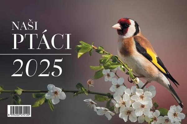 Naši ptáci 2025 - stolní kalendář