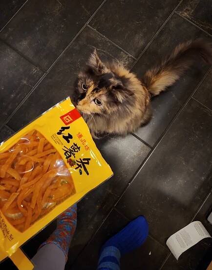 @mostlycatsmostly on Tumblr