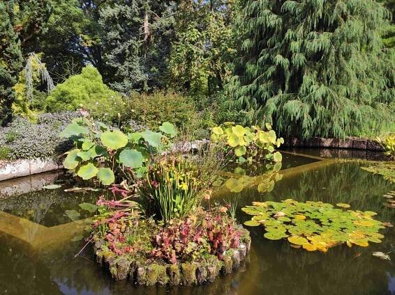 Botanická záhrada Bratislava - MedvedkuDajLabku