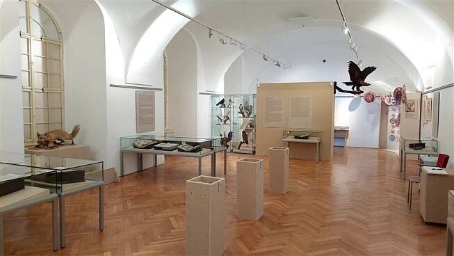 Unikáty v muzeu. Olomoucká kniha věšteb je k vidění po dvaceti letech