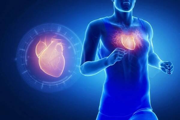 Heart Disease... Here's What You Need to Know - Optimize U Centers