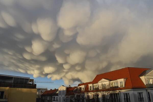 Mammatus
