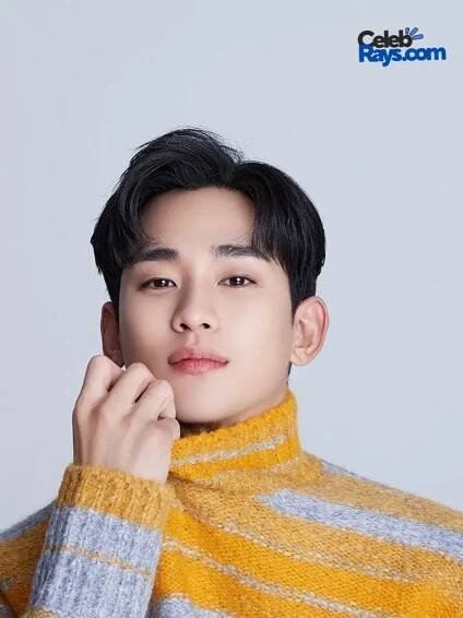 Kim Soo-hyun intro