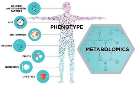 Metabolický otisk dokáže rozlišit fibromyalgii od ostatních stavů se 100% přesností :: Fibromyalgik