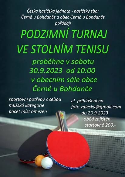 Plakát stolní tenis