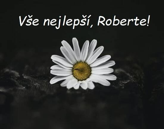 Nejkrásnější blahopřání k svátku pro Roberta na jednom místě. Vyberte si!