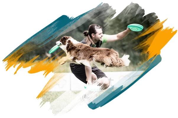 MČR uplynulé ročníky – Mistrovství České republiky v dogfrisbee