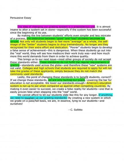 persuasive essay examples 20