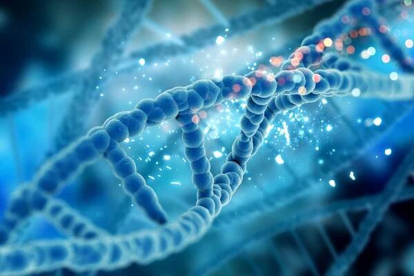 Epigenetika: jak dědictví předků formuje naše zdraví