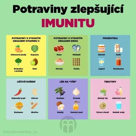 10 způsobů jak posílit imunitu - BrainMarket.cz Herbs Recipes, Vitamin B12 Deficiency, Vitamin B12, Healthy And Happy, Kefir, Warning Signs, Kombucha, Vitamin D, Kimchi