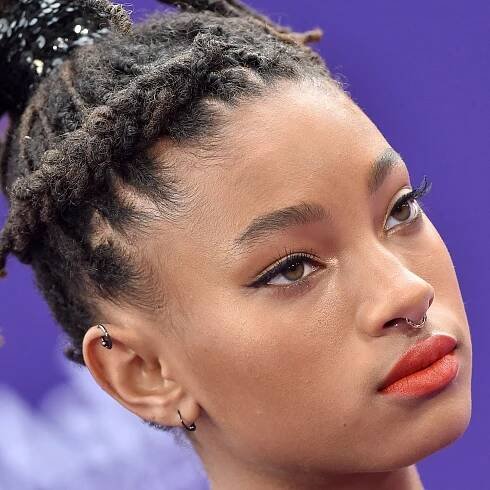 Willow Smith's Teeny-Weeny Afro Is Too Cute to Describe in Words — See Photos