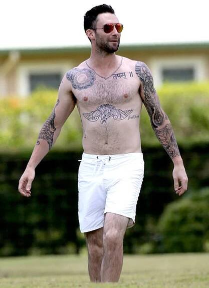 Zpěvák Adam Levine