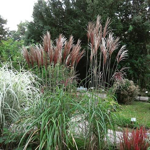 Botanická zahrada se opět otevře veřejnosti